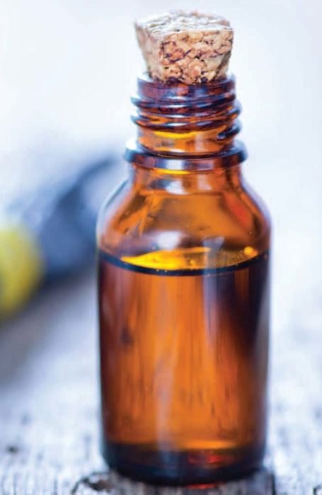 Vanilla Essence + Bean Paste