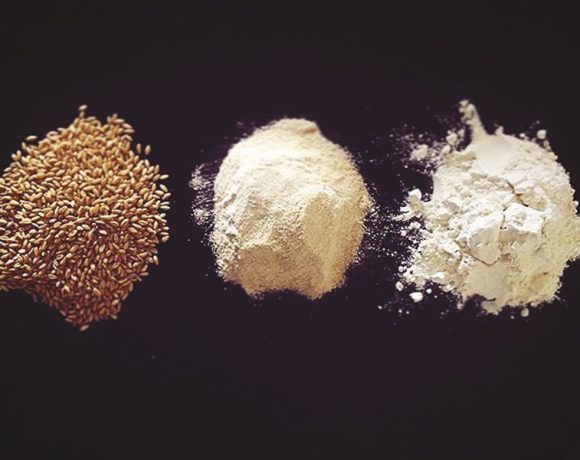 Dust appreciation