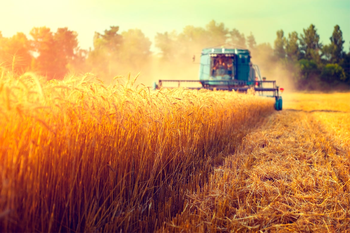 Grain technology At Australasian Grain Science Conference