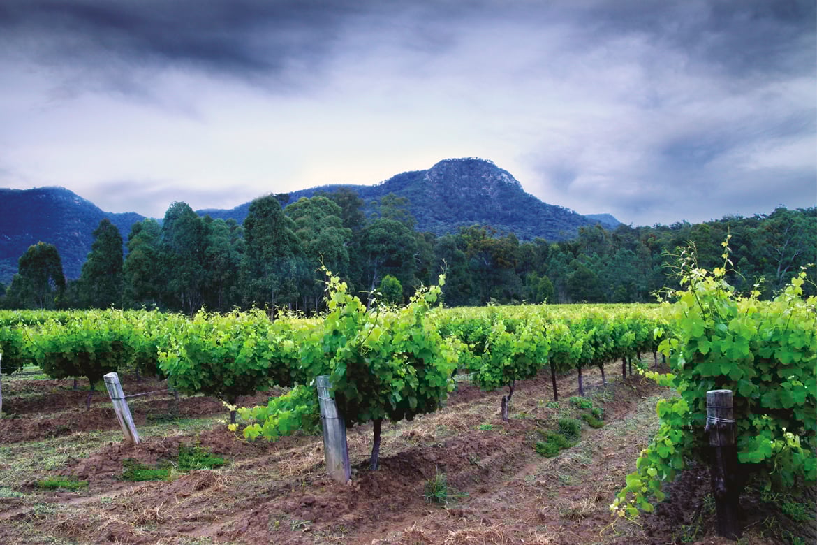 Hunter Valley is burgeoning with artisan bakeries, dessert bars....