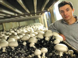 Mushrooms: Wild About Mushrooms