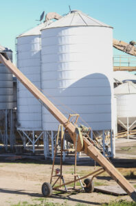 Bucking the trend: Buckwheat Enterprises