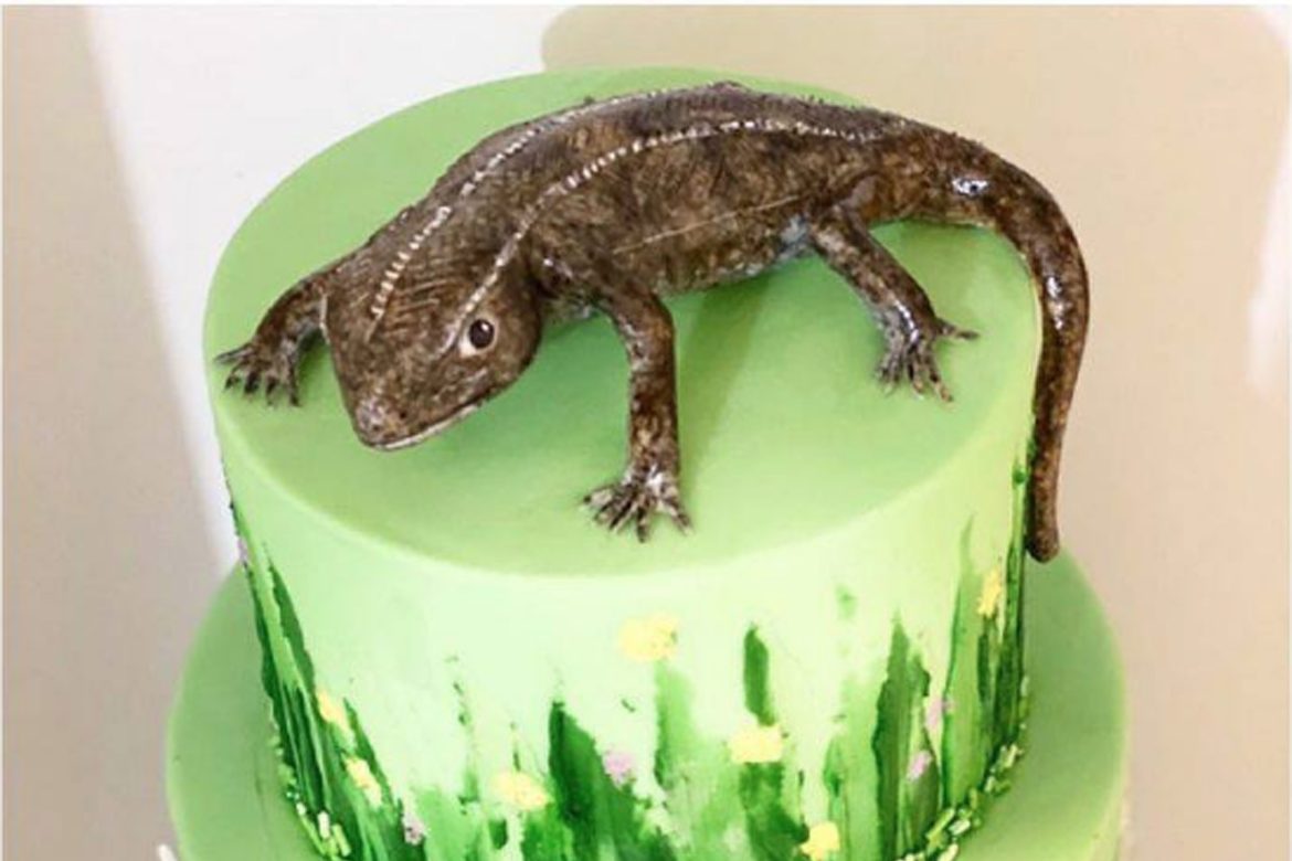 Tough competition in threatened species bake off