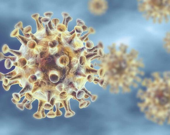 New research reveals COVID virus' 'survivability'