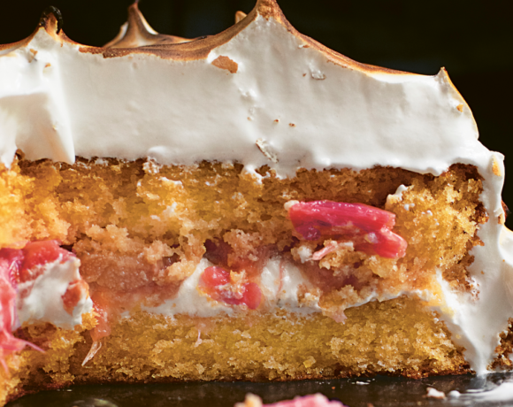Toasted Marshmallow and Rhubarb Cake