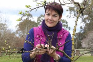 Home Grown: South Australia's Quince HQ