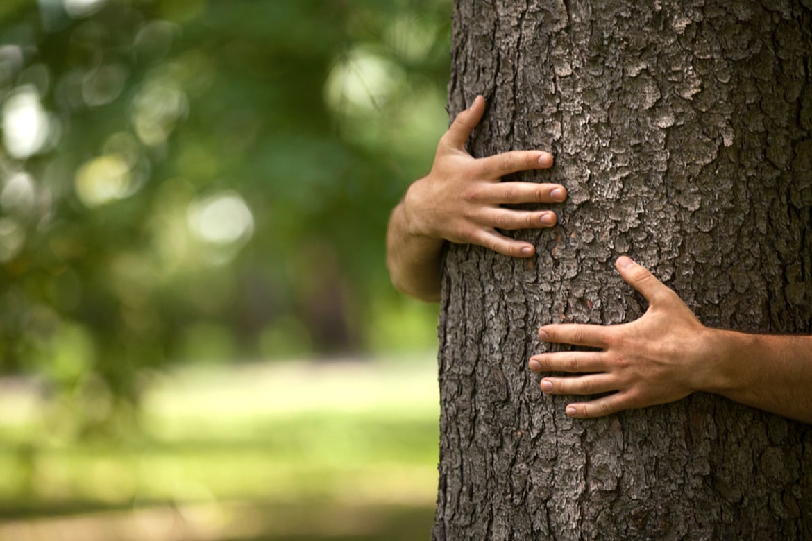 Six ways to make your business eco-friendly in 2021