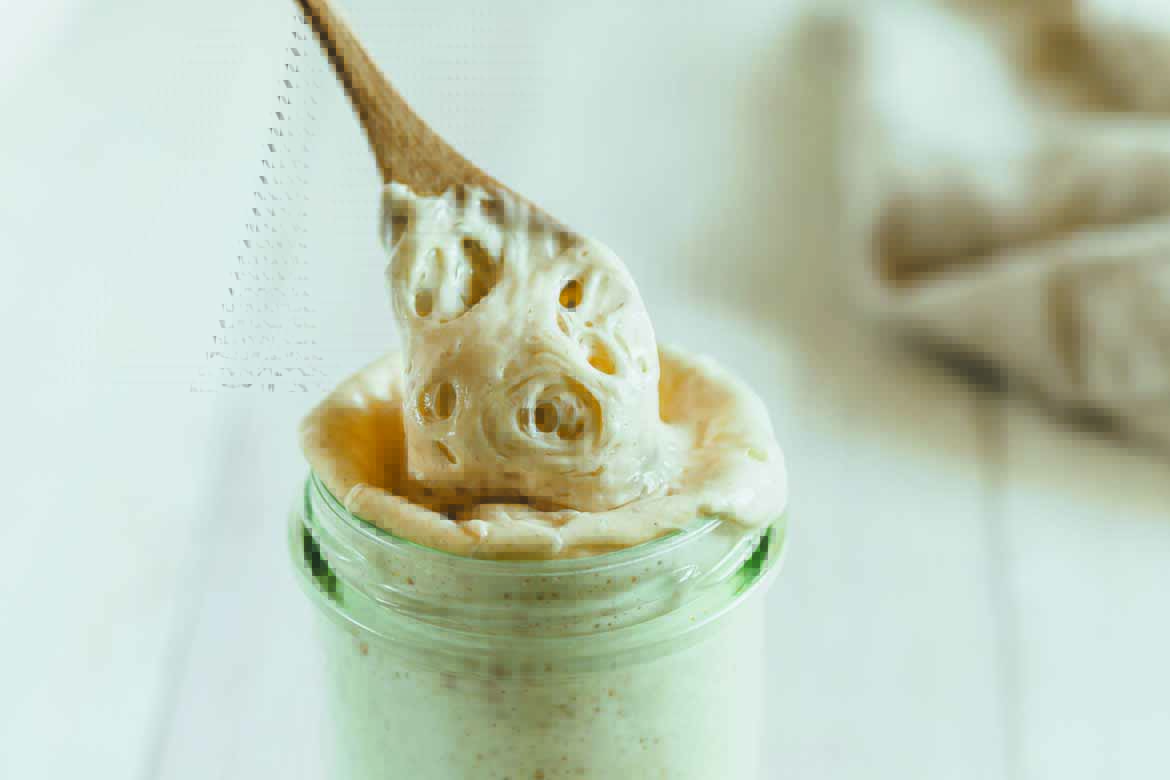 The Microbial Life of Sourdough