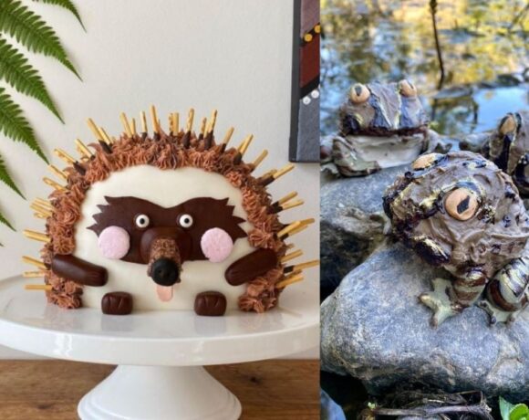 Threatened Species Bake Off back for fifth year