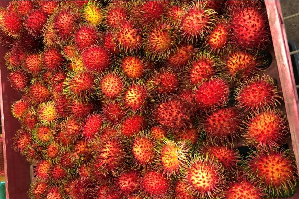 Rambutan: A tropical oasis in a fruit