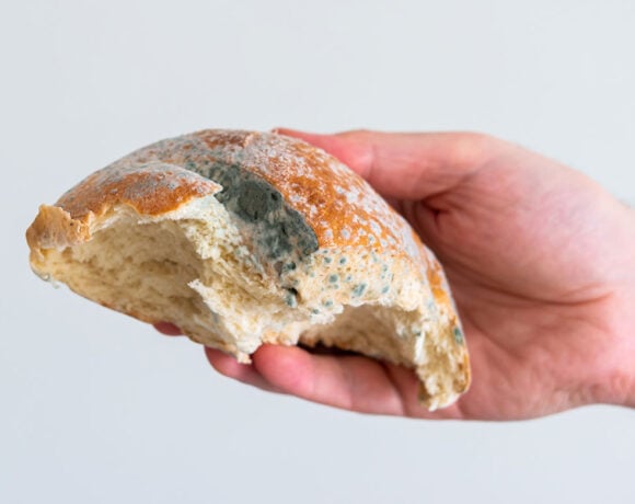 a hand holding a mouldy bread roll (mould)