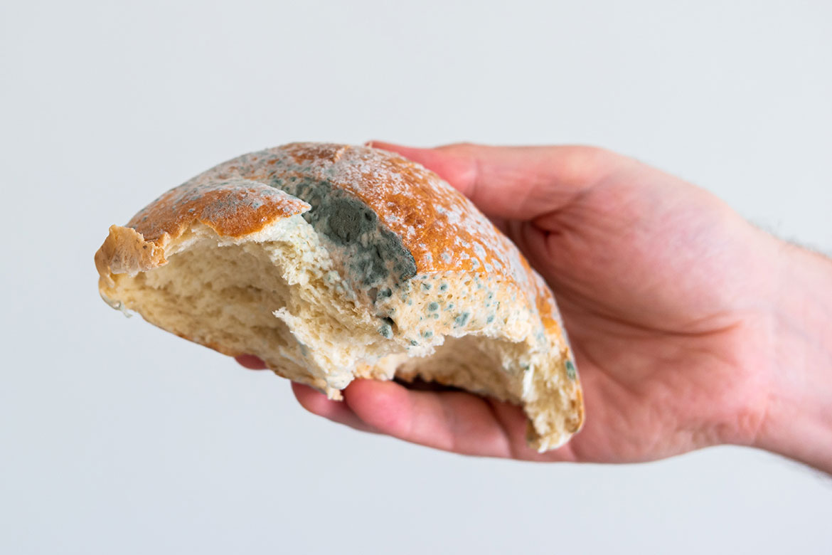 a hand holding a mouldy bread roll (mould)