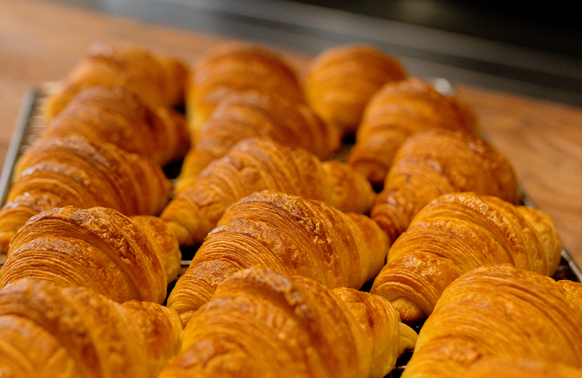 Freshly baked croissants lined on a tray