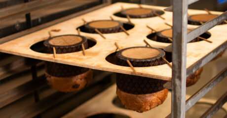 Jonny Pisanelli's chocolate panettone
