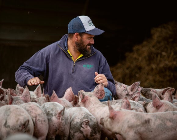 Otway Pork is an award-winning pork producer