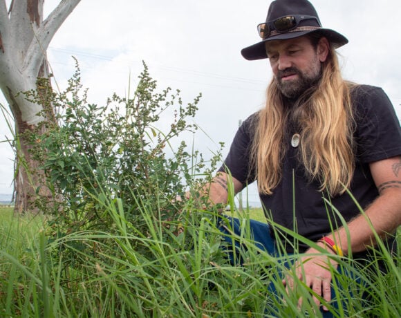 Jacob Birch at University of Queensland's Gatton campus. He's studying locally extinct native grains