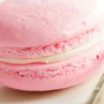 Champagne and rose macaron