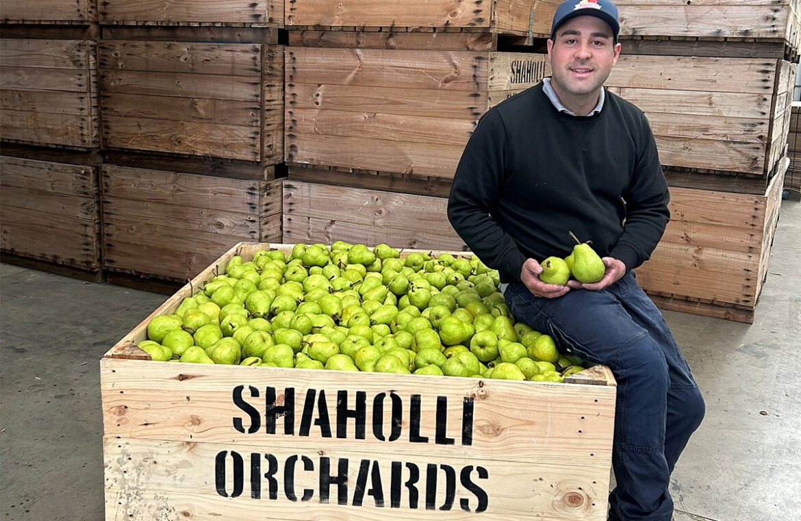 Selim Shaholli from Shaholli Orchards