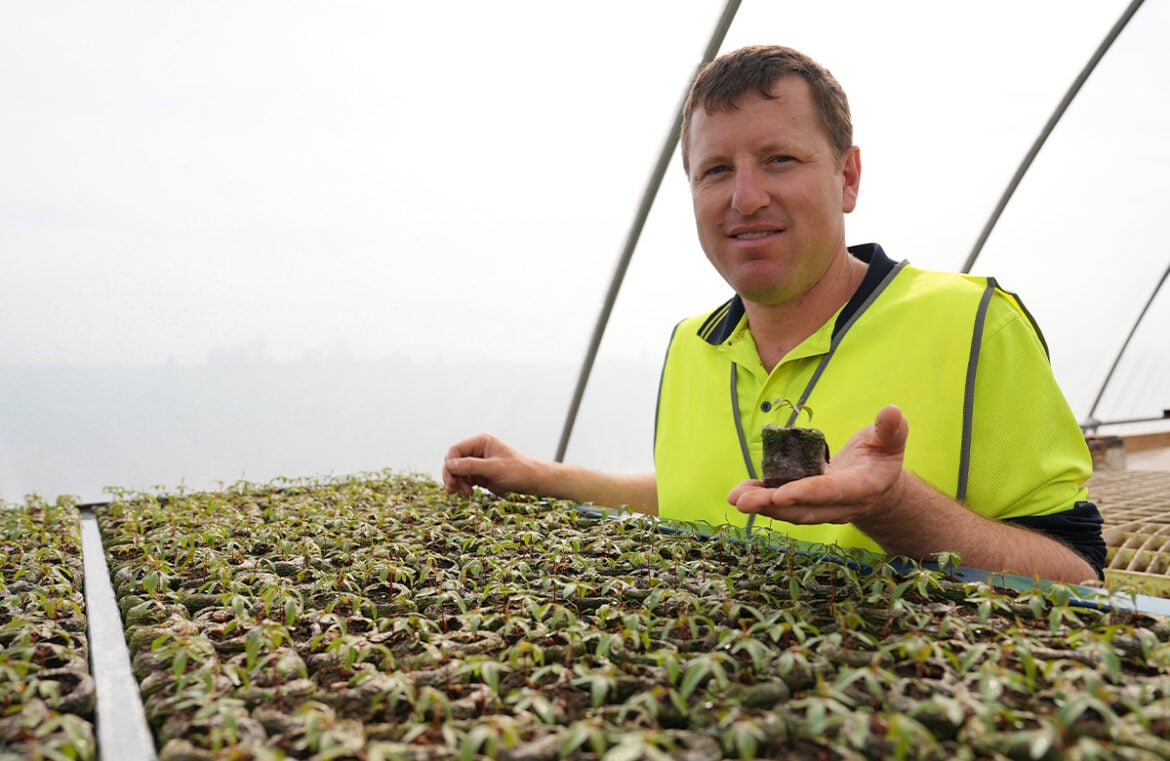 Riverina Nut Company has increased pistachio production in line with demand