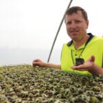 Riverina Nut Company has increased pistachio production in line with demand