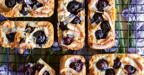 Blueberry, coconut and lemon bars