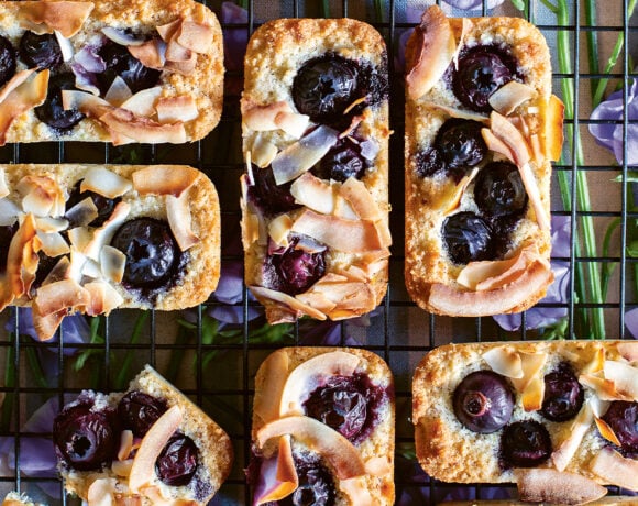 Blueberry, coconut and lemon bars