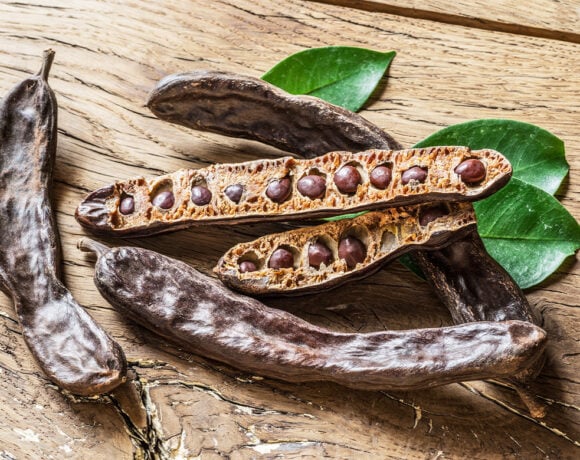 Carob pods and beans. Researchers from National University of Singapore believe carob could help save the struggling cocoa industry