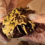 Livo is Adelaide's newest dessert hotspot