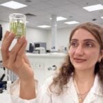 RMIT Researcher Dr Mahsa Majzzoobi with saltbush powder