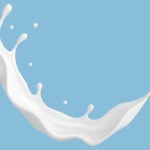 An ongoing decline in milk production is forecast for 2026