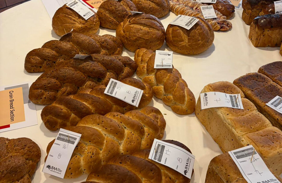 Some of the entries in the 2026 Newcastle Baking Show