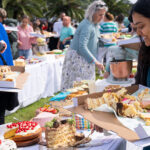 The Sydney Cake Picnic was a viral success