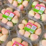 A new variety of white and blush strawberries has been developed