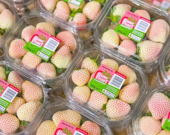 A new variety of white and blush strawberries has been developed