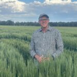 Dr Greg Rebetzke in a field of Hurdle wheat